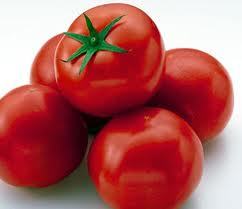 tomato20120612.jpg
